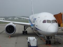 これから搭乗するのは Boeing 787-8 / JA814A だ。

お恥ずかしい話、そこそこ飛行機には乗っていたがBoeing 787に搭乗するのは今回が初めてだった。