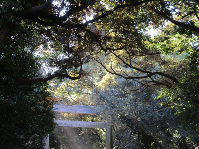 西暦672年の壬申の乱で皇統は天武天皇の直系子孫に移りますが、その約100年後 玄孫にあたる称徳天皇が西暦770年に崩御されたのを以って天武系の皇統は断絶となり、再び天智天皇（天智系）の子孫が皇位を継承することになりました。