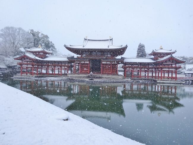 【鳳凰堂雪景図】井上黎明 992 宇治平等院　京都　共箱　掛け軸　肉筆 宇治平等院 鳳凰堂（NBC） – うつろい工房