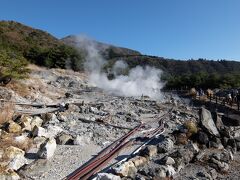 神社の裏から地獄に突入！もくもくです。