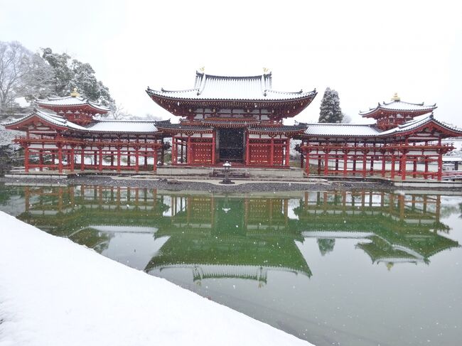 京のお散歩 8 雪の平等院～宇治神社～宇治上神社』宇治(京都)の