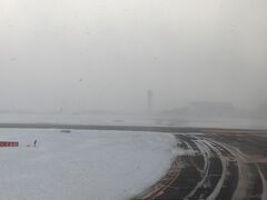 新千歳空港に到着。
しかし、新千歳に近づくにつれて急に天候が悪化し、かなり雪が降っています。