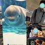 子連れ旅行in愛知　★名古屋港水族館＆セントレア＆フライト・オブ・ドリームズ★