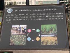 街中の水田
あら素敵♪

某通信会社の本社ビルとその周辺を散策しに来ました