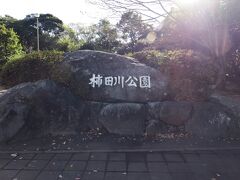 そして今回の旅行で来たかったもう一か所が、こちら「柿田川公園」。
忍野八海と共に富士山の遊水地として有名ですよね。