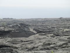 さらに北上してハワイ火山国立公園の溶岩大地へ。
