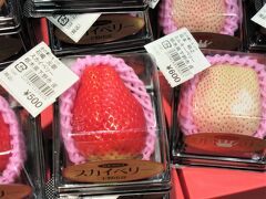 【1日目】

道の駅しもつけ（栃木県下野市）

最初のトイレ休憩をしました。
栃木県はイチゴの生産量が全国一位だそうです。まだ1月なのに、かなりたくさん並んでいます。
すごく高いイチゴを発見！　なんと、赤い『スカイベリー』が1粒500円で、白い『ミルキーベリー』は1粒600円ですって!?