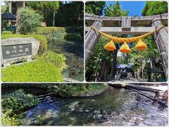 熊本城を後にし、阿蘇白川水源に向かい白川吉見神社にお参りし、美味しい水を頂きます。
水ほんと澄んでいて綺麗ですので夏は涼しくていいですよ。
