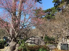 次は熱海梅園へ。熱海宿泊者は割引がありました。