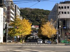 黄金色に色づいた銀杏並木が綺麗な「桜町通り」の写真。

写真中央奥は「風頭公園展望台」がある「風頭（かざがしら）山」
かな？
もっと時間があれば、「龍馬通り」と呼ばれる石畳の坂道を上って、
「亀山社中記念館」、「亀山社中資料展示場」、「若宮稲荷神社」、
「龍馬のぶーつ像」、「坂本龍馬像」、「風頭公園」などの数々の
名所巡りをしたかったのですが、今回は時間が足りません ＼(>_<)／