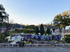 １月２２日（土）１６：３０

本日は大阪城公園にやって来ました。