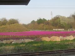 途中の磐梯町駅
駅前の芝桜がきれいで目に留まりました。