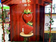 あらら。。駅にこんなスペースが。。
イチゴの季節ですものねぇ～♪
とちおとめ(^^♪

