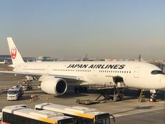 飛行機での移動