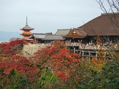 紅葉の清水寺