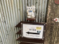 さて猫の細道
残念ながら、今回はネコが見かけれらなかった。。。