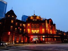 東京駅に着いた頃には、既に薄暗くなりかけていた。