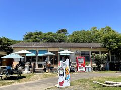 小学校だったところの敷地内には田代島「島のえき」という施設が。
2016年にできたそう。