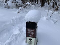 チェックアウトして
裏磐梯五色沼が
厳冬期でも
行けることを発見し