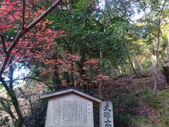 高山寺は、「古都京都の文化財」として世界文化遺産に登録されています。