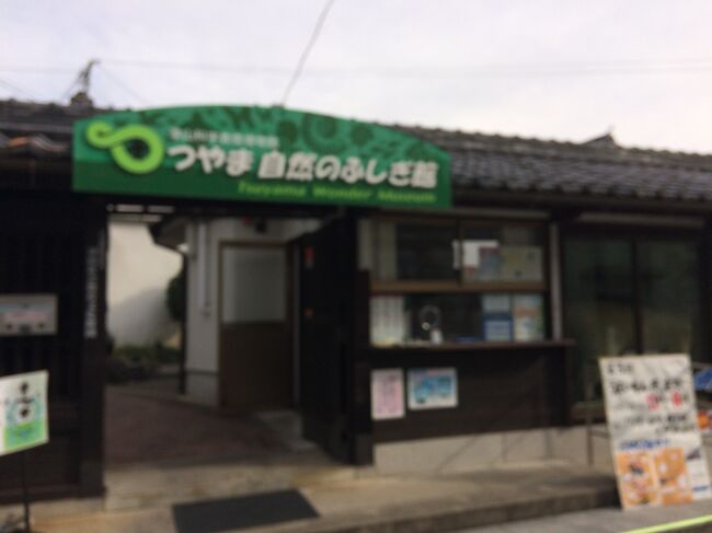 剥製 鳥 （剥製 鳥のYahoo!オークション(旧ヤフオク!)の相場