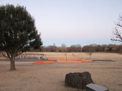 私は「初日の出」を見るのが大好きで、余程のことが無い限り見る様に心がけています。
昨年、年末年始関係ない現場に転勤になり今年は半分諦めていたのですが、大晦日出勤で元旦は休みとなったので今年も出かけることが出来ました。
まあ元旦出勤になったならば職場の屋上から見るつもりでしたが（笑）

と言う訳で今年も御来光の会場は恒例となっている武蔵野の森公園の「ふるさとの丘」です。
東側に調布飛行場の滑走路があり開けており、何より自宅から数十分で来れる穴場スポットです