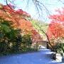 紅葉と温泉と食を楽しむ２泊３日の旅（３）～森の中のオーベルジュ《arcana izu》