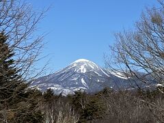八ヶ岳自然文化園からの蓼科山、これはベストショットですね。
気温は３度くらいでかなり寒かったです。