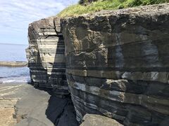 ホルンフェルスとはマグマの熱によって変性した岩石のことで、厳密にはこの畳岩はほとんど熱変性を受けていないそうです。名前に反して大きな断層があるわけでもない、本来のホルンフェルスでもないとはいえ、やはり白と黒の地層の断崖は見ごたえがあります