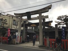 今日は１６日（日曜日）、我が町は「えべっさん」は毎年１５日前後。だから、残りえびすがあるかな？と思って京都ゑびす神社へ。
https://kyoto-goriyaku.com/spot/kyoto-ebisu/