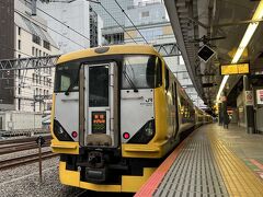 アクアラインと館山道が出来たおかげで、東京からのアクセスは車がメインとなってしまった内房ですが、鉄道好きはやっぱり、さざなみ。
平日の姿はすっかり短距離通勤特急ですが、土日祝日は新宿から館山までの列車が健在です。