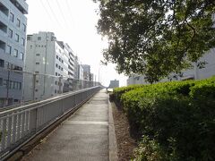 　宿からすぐの両大師橋へ。線路をまたぎ、上野公園側の高台へ上がっていく橋なので、アプローチの斜路は延々と長いです。
　大変な診察を終えた後、お昼寝もしていないのに、我が子は元気にぐんぐん登ってくれました。
