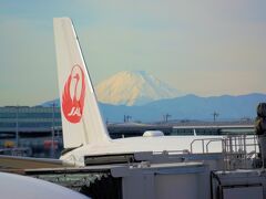 1月15日に羽田空港へ着いたとき、幸先が良く富士山が見られた。
鶴のマークと富士山を併せて撮影した。
