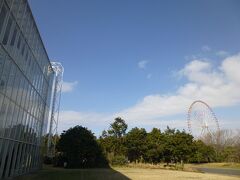 水族館を目指して来たけど、公園なんだね（葛西臨海公園）。広～い

観覧車だ～！