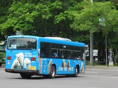 ホッキョクグマのラッピングバス
これに乗ってくれば、門の前で降りれます。
ただ札幌駅からの直行便ではなく、
地下鉄の円山公園駅からなのが残念。