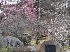 熱海梅園