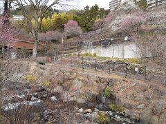 上の方に行くと足湯があるそうです