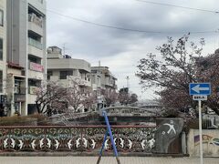 糸川桜まつり開催中
コロナのせいか空いていました