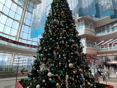 急いで大阪へ帰らねば… 
取るものもとりあえず羽田空港へ
羽田空港はクリスマスの飾り付け