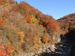 その後、ネット情報にあった林道を目指すも紅葉はますます寂しくなり、道も怪しくなったため、切明温泉で引き返しました。