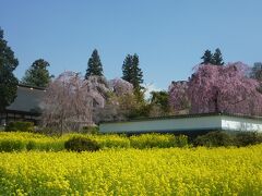 塩山駅から慈雲寺(周林寺)方面行のシャトルバスが出ていましたが、今回はタクシーを利用しました。

※塩山駅から慈雲寺まで3km程ですが、歩く際は慈雲寺から塩山駅方面に歩くと下り坂のみなので楽です。