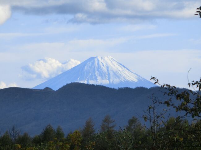 リベンジ成功！ 八ヶ岳高原音楽堂からくっきり見えた富士山！』清里