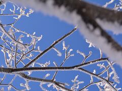 マイナス15℃以下で
出来るのが霧氷、だったかな。