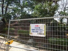 　山頂駅到着し千光寺公園･展望台に行こうとしたら、2022年3月末まで展望台およびその周辺エリアのリニューアル工事のため、山頂エリアは進入禁止になっていました。展望台はあきらめて文学のこみちへ。