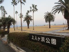 上人が浜公園。

新しく整備された感じ。

ヤシの木が南国チック。