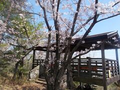 みはらし台で展望と桜を楽しむ