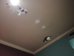 お腹いっぱいで就寝タイムです
ベッドで天井を見上げるとペンギンが
旭山動物園ペンギン館の水中トンネルのイメージですね