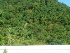 昇仙峡です
道路からは川は見えづらいです
すぐ近くに山が迫ってるように見えます