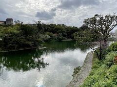この池は龍潭（りゅうたん）と言う！

https://oki-park.jp/shurijo/guide/58#a02