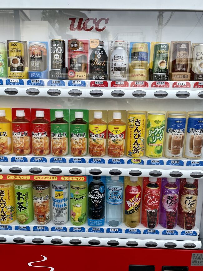 雪が見たくて どこかにマイルにかけてみた 結果は沖縄 Vol２ 波の上ビーチ 国際通り 首里城 那覇 沖縄県 の旅行記 ブログ By エヌエヌさん フォートラベル